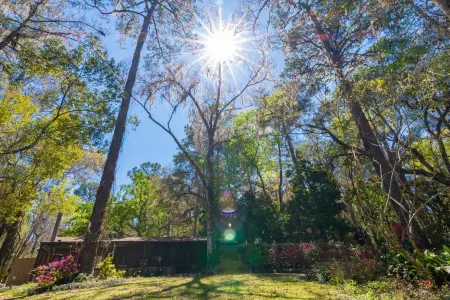 Breathtaking Rainbow River single family home Отели в г. Даннеллон