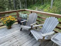 Jackson Hole Cabin with Incredible Views - Hot Tub, Sauna, Private, Sleeps 8