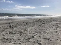 Oceanfront Experience - Shipwatch C-214 - with Free Ocean Breeze