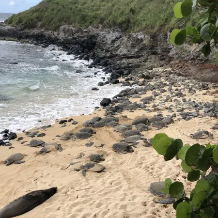 Oceanfront Create Forever Memories, Panoramic Views; 2 Bdrm, 2 Bath, Central A/C