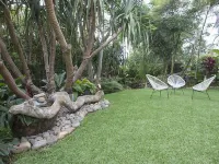 The Beach Havens - Haven Oceana Hotels in Emerald Beach