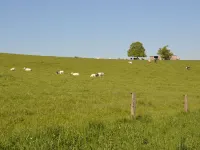 Cozy Holiday Home in Somme-Leuze with Private Garden