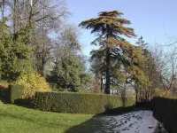 Belvilla by OYO Castello di Robella