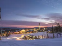 Manchester View Hotels in Bennington County