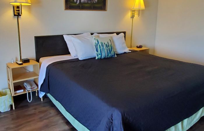 Cactus Inn and Suites