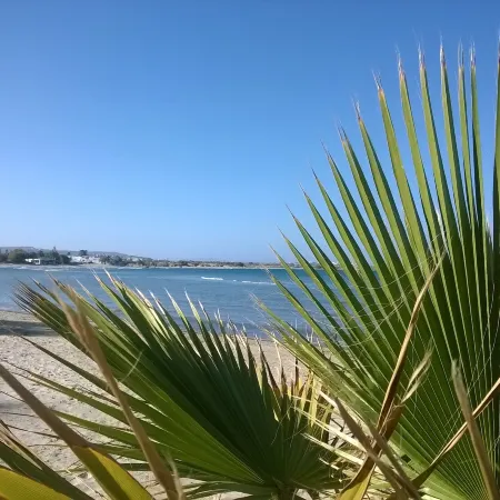 Doron Hotel Delfini