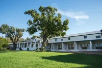 D'Olyfboom Guest House B & B - Wifi