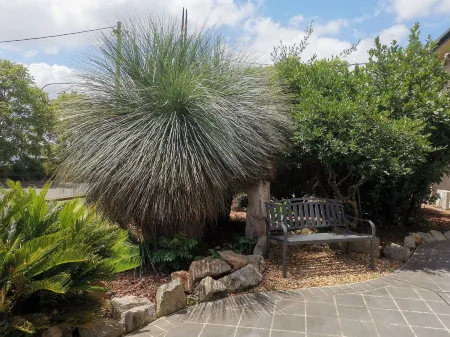 Leichhardt Motor Inn Отели рядом с достопримечательностью «St Luke's Anglican Church»