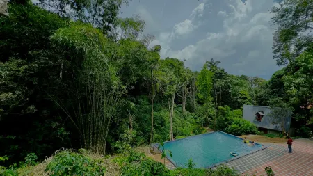 Forestvalley Holidays Coorg Отели в г. Мекери