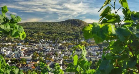 AhrPart Hotel Central Отели в г. Бад-Нойенар-Арвайлер