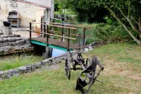 Les Cygnes Noirs