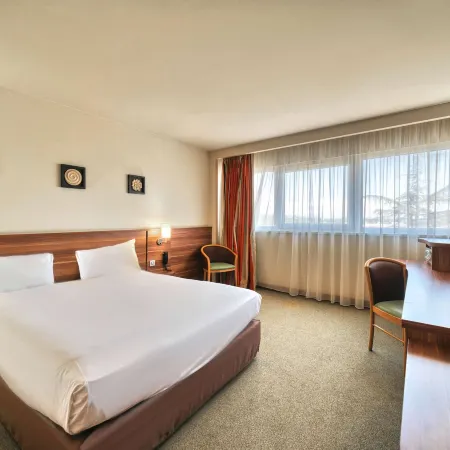 Kyriad Prestige Mulhouse - Basel
