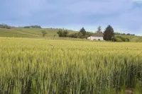 White Tail Organic Farm Hôtels à : Tagliolo Monferrato