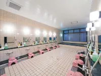 Kyoto Travellers Inn Hotels near Okazaki
