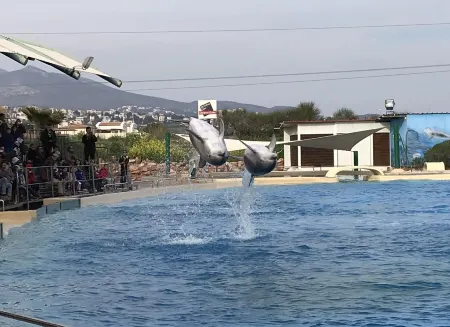 Dina's House Отели в г. Спата-Артемида