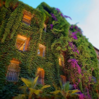 施設外観 ホテル ラファエル ルレ&シャトーの写真