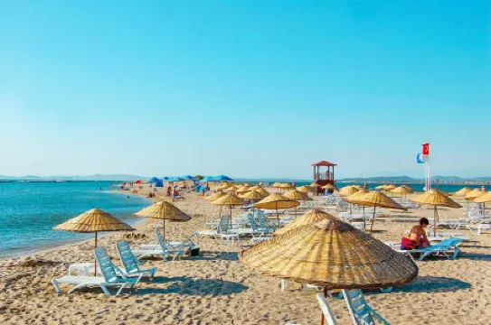 Siyah Lale Cunda 1841