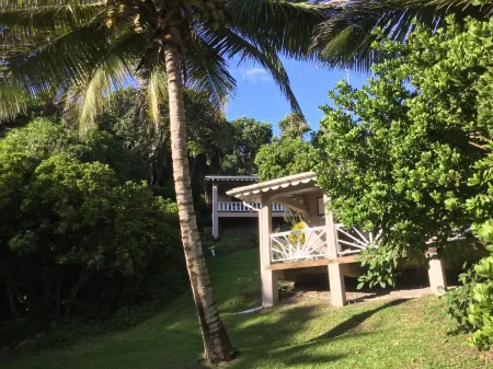 Petite Anse Hotel Отели в г. Gouyave