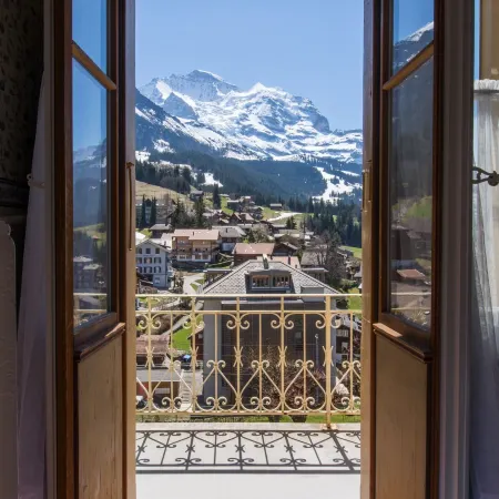 Historic Hotel Falken