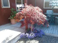 Kauri Lodge Karapiro Hotels in Matamata