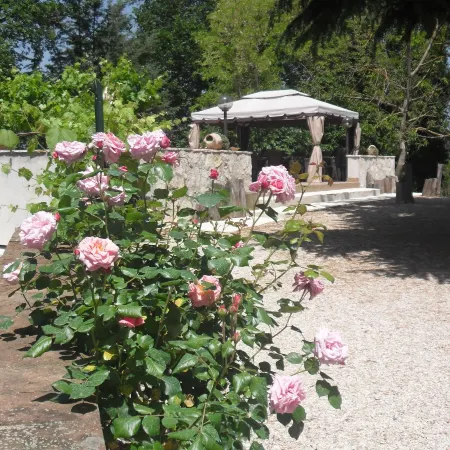 Il Querceto