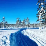 Sæteråsen Hytter & Camping Trysil Hotel di Trysil