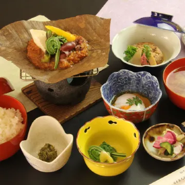 Gokayama Onsen Akaokan