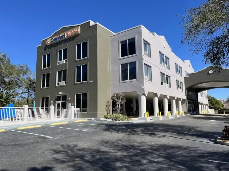 Comfort Suites Clearwater - Dunedin Отели рядом с достопримечательностью «Клируотер Кантри Клаб»