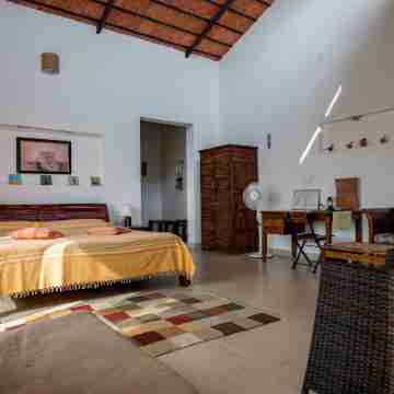 Dhole's Den Bandipur Rooms