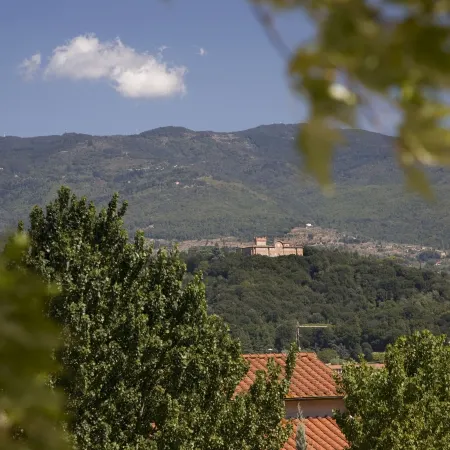 Villa il Palagio