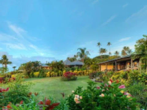 塔韋馬尼島水療度假村-全包 恩加梅阿島酒店