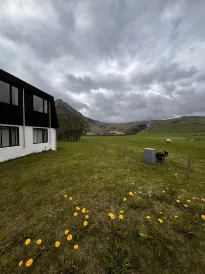 Hotel Skógá by EJ Hotels