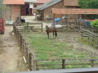 Tourist Farm Šalamun Hotels in Ljutomer