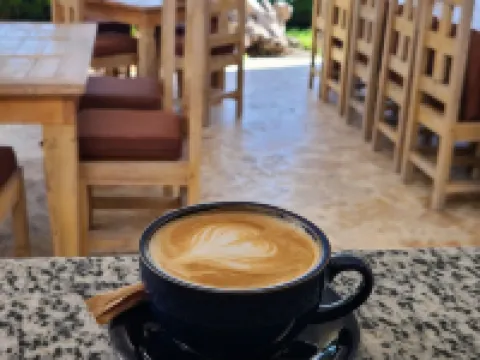 特里頓精品酒店和餐廳 瓜亞卡內斯酒店