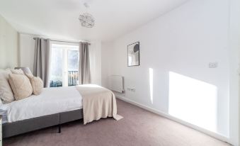 The Lewisham Collection