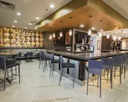 Hilton Garden Inn Atlanta South-McDonough - bar