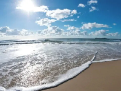 Sunshine Coast Retreat Hotels in Diddillibah