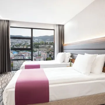 Lilium Hotel & Suites Hotels near Bursa Grand Bazaar