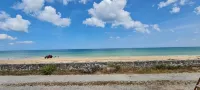 Relais des îles Saint Marcouf Hotels in Saint-Vaast-la-Hougue