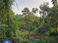 Room-serene Arambol Retreat - Private St