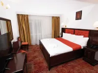 Hotel Piatra Mare Hotels near Lupului