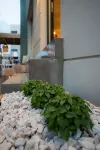 Sunshine Boutique Hotel by Estia