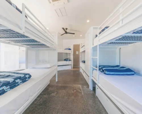 Maze Backpackers - Gold Coast Hotels near Infinity Attraction