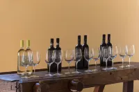 Tenuta Santo Pietro - bar