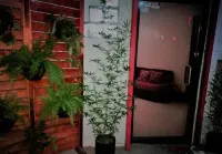 8th Street Hostel