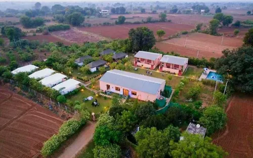 Jungle Book - A Nature Escape