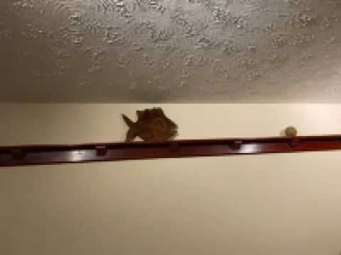 River Penthouse Apt 2Br Parking View St Neots Town Centre