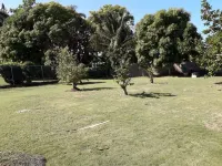 Lovely 1-Bed in Montego Bay-Rose View Apartment Hôtels à : 