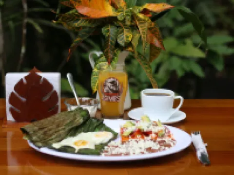 Cervecería James Hotel Spa & Museo Hoteles en Xilitla