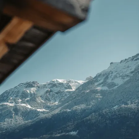 Alpina Boutique Hotel Interlaken - Ringgenberg - Adults Only !